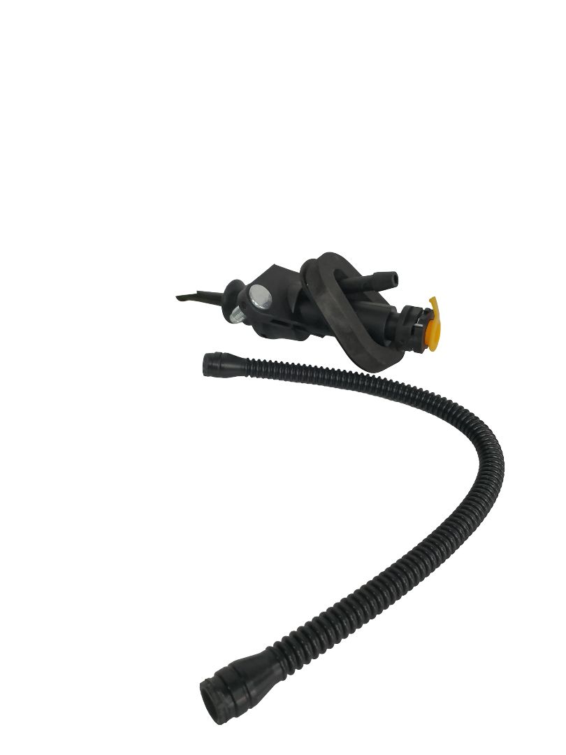 Bombín clutch Carnival